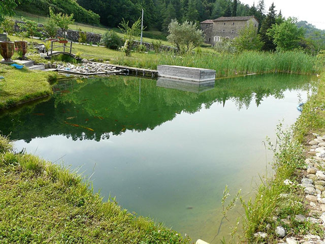 Création Bassins naturels Lozère